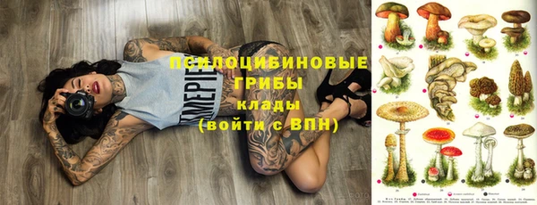 ешки Верея